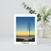 Agave Bloeiende Bloem in Mallorca bij zonsondergan Briefkaart (Staand voorkant)