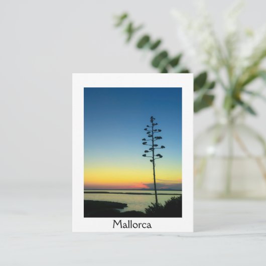 Agave Bloeiende Bloem in Mallorca bij zonsondergan Briefkaart (Staand voorkant)