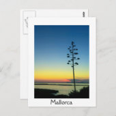 Agave Bloeiende Bloem in Mallorca bij zonsondergan Briefkaart (Voorkant / Achterkant)