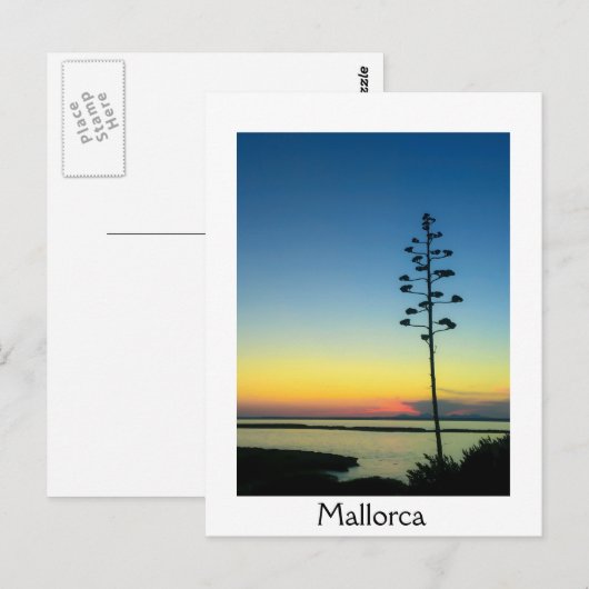 Agave Bloeiende Bloem in Mallorca bij zonsondergan Briefkaart (Voorkant / Achterkant)