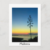 Agave Bloeiende Bloem in Mallorca bij zonsondergan Briefkaart (Voorkant)