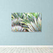 Agave 'Blue Glow', 'Blue Flame' canvas print (Insitu (Houten vloer))