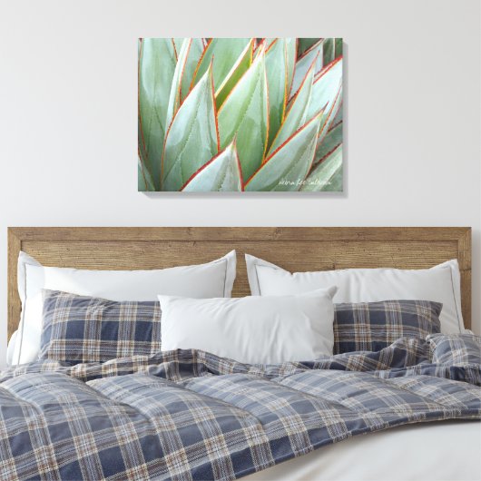 Agave 'Blue Glow' canvas van Debra Lee Baldwin (Insitu (Slaapkamer))