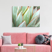 Agave 'Blue Glow' canvas van Debra Lee Baldwin (Insitu (Woonkamer))