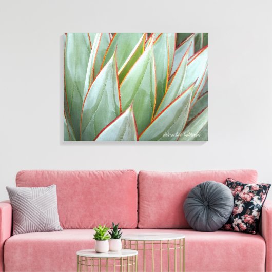 Agave 'Blue Glow' canvas van Debra Lee Baldwin (Insitu (Woonkamer))