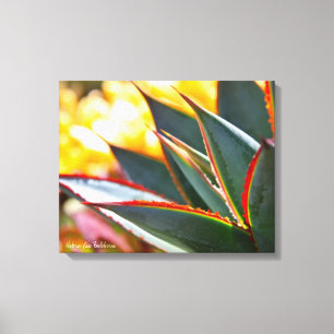 Agave Blue Glow sappige foto Debra Lee Baldwin Canvas Afdruk