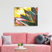 Agave Blue Glow sappige foto Debra Lee Baldwin Canvas Afdruk (Insitu (Woonkamer))