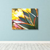 Agave Blue Glow sappige foto Debra Lee Baldwin Canvas Afdruk (Insitu (Houten vloer))