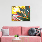 Agave 'Blue Glow' van Debra Lee Baldwin Canvas Afdruk (Insitu (Woonkamer))