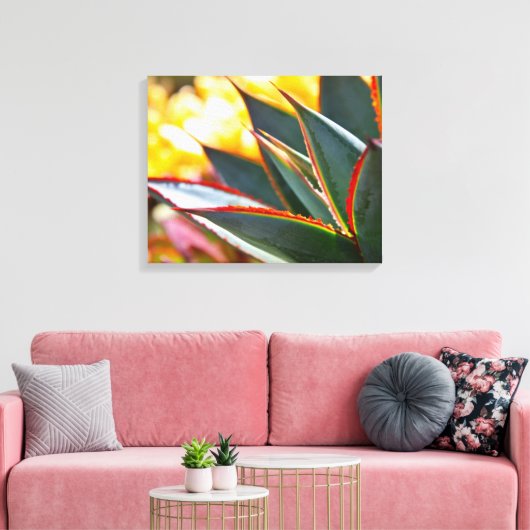 Agave 'Blue Glow' van Debra Lee Baldwin Canvas Afdruk (Insitu (Woonkamer))
