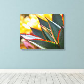 Agave 'Blue Glow' van Debra Lee Baldwin Canvas Afdruk (Insitu (Houten vloer))