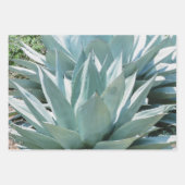 Agave Botanische Plant Green Cactus Desert Inpakpapier Vel (Voorkant 2)