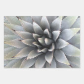 Agave Botanische Plant Green Cactus Desert Inpakpapier Vel (Voorkant)