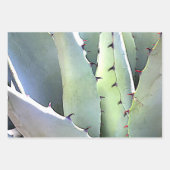 Agave Botanische Plant Green Cactus Desert Inpakpapier Vel (Voorkant 3)