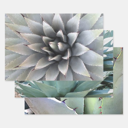 Agave Botanische Plant Green Cactus Desert Inpakpapier Vel (Set)