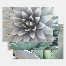Agave botanische plant groene cactus woestijn  inpakpapier vel