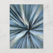 Agave Briefkaart (Voorkant)