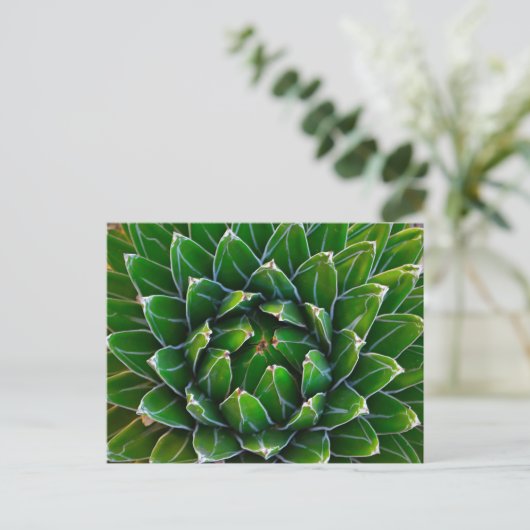 Agave Cactus Briefkaart (Staand voorkant)