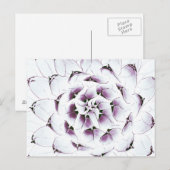 Agave Cactus Briefkaart (Voorkant / Achterkant)