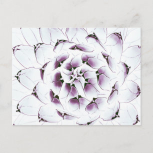 Agave Cactus Briefkaart