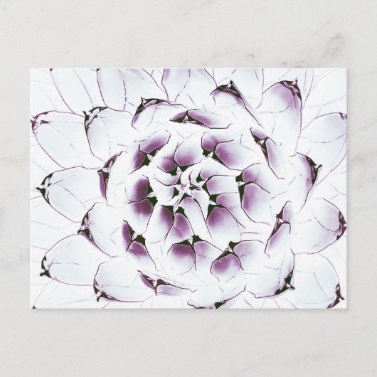 Agave Cactus Briefkaart (Voorkant)