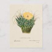  Agave Cactus Illustratie Briefkaart (Voorkant)