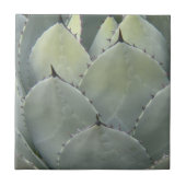 Agave Cactus Plant Southwestern Style Tegeltje (Voorkant)