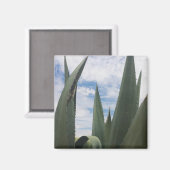 Agave Clouds Magneet (Voorkant / Achterkant)