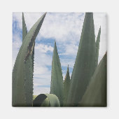 Agave Clouds Magneet (Voorkant)