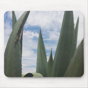 Agave Clouds Muismat