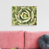 Agave 'Cream Spike' foto Canvas Afdruk (Insitu (Woonkamer))