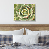 Agave 'Cream Spike' foto Canvas Afdruk (Insitu (Slaapkamer))