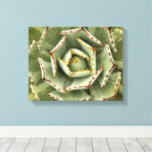 Agave 'Cream Spike' foto Canvas Afdruk (Insitu (Houten vloer))