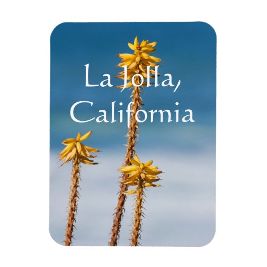 Agave door de oceaan La Jolla, Californië Magneet (Verticaal)