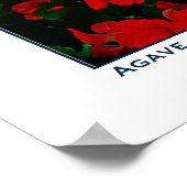 AGAVE EN BLOOMS - KUST VAN CALIFORNIA POSTER (Hoek)