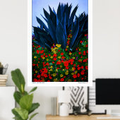AGAVE EN BLOOMS - KUST VAN CALIFORNIA POSTER (Thuiskantoor)