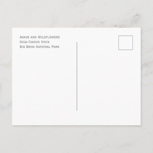 Agave en wilde bloemen, Big Bend National Park Briefkaart (Achterkant)