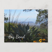 Agave en wilde bloemen, Big Bend National Park Briefkaart (Voorkant)