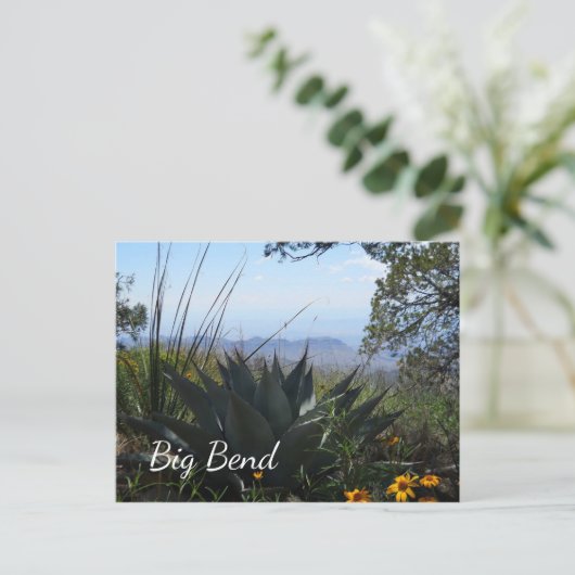Agave en wilde bloemen, Big Bend National Park Briefkaart (Staand voorkant)