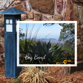 Agave en wilde bloemen, Big Bend National Park Briefkaart