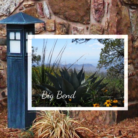 Agave en wilde bloemen, Big Bend National Park Briefkaart