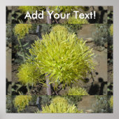 Agave Giant Flower Cluster Poster (Voorkant)