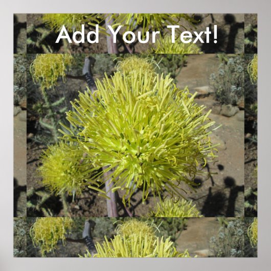 Agave Giant Flower Cluster Poster (Voorkant)