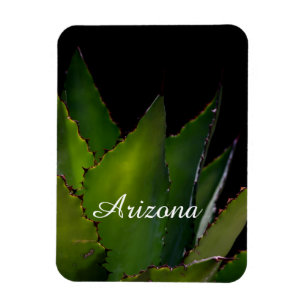 Agave glow Arizona Magneet