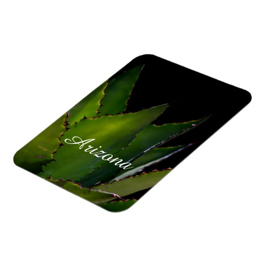 Agave glow Arizona Magneet (Linkerzijde)