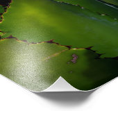 Agave glow foto afdruk (Hoek)