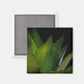 Agave glow magneet (Voorkant / Achterkant)