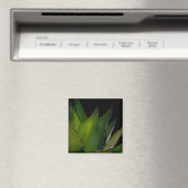 Agave glow magneet (Insitu (Vaatwasser))