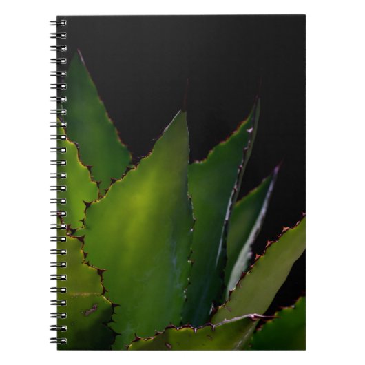Agave glow notitieboek (Voorkant)