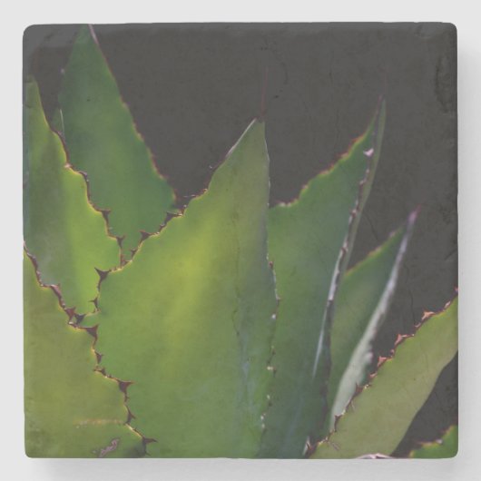 Agave glow stenen onderzetter (Voorkant)